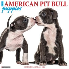 American Pit Bull Terrier