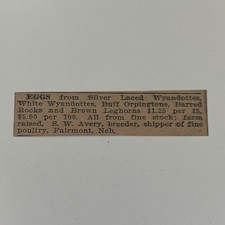 Eggs From Silver Laced