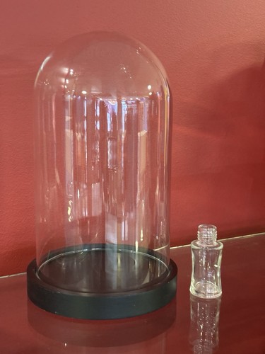Clear glass dome display - clear,