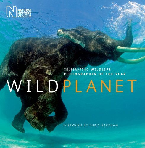 Wild planet celebrating - wild, planet: