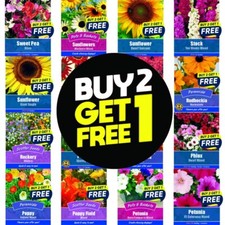 Flower Seeds Plants Borders