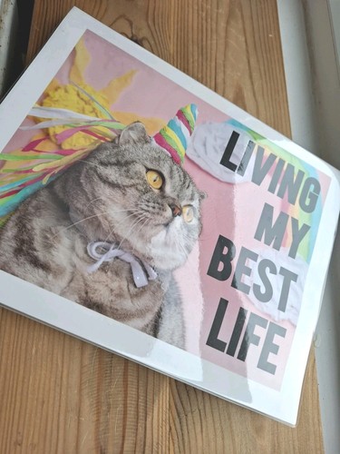 Paperchase 8x10 ruled cat - 8x10",