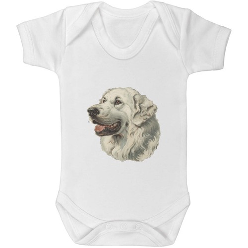 Pyrenean mountain dog - 'pyrenean,