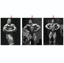 Custom Dorian Yates Muscle