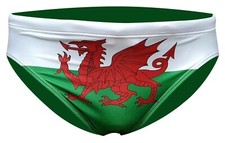 ACCLAIM Wales Welsh Dragon