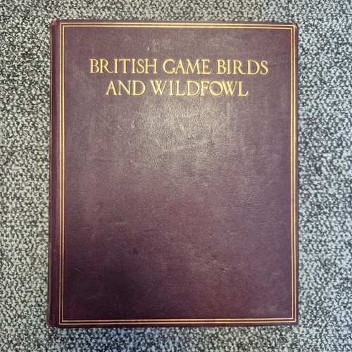 British game birds and - birds,