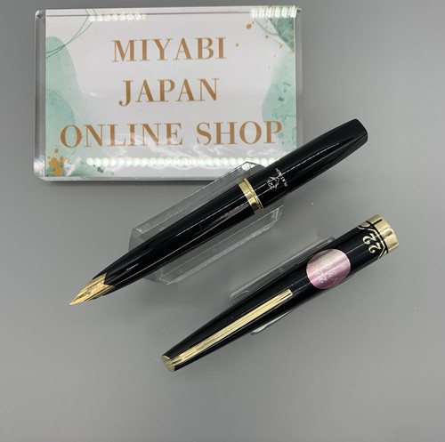 Platinum pocket fountain - platinum, pen