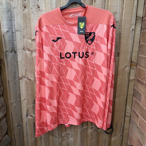 Norwich city 2023 24 - city, fc