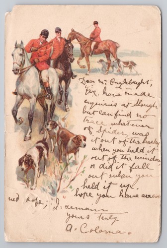 Postcard antique ireland horse - antique,