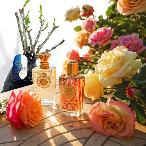Perfume bush rose - perfume,