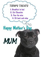 Staffordshire Bull Terrier