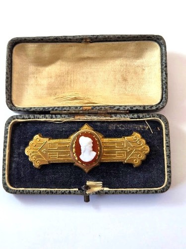 Victorian cameo pin - cameo,