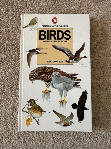 Birds mountain regions - birds, of