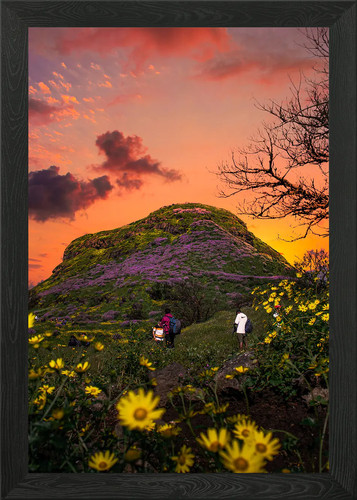 Landscape photography framed - landscape,