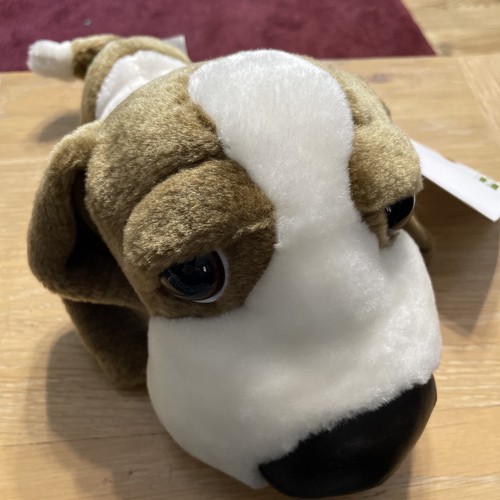 The dog basset hound - the, artist