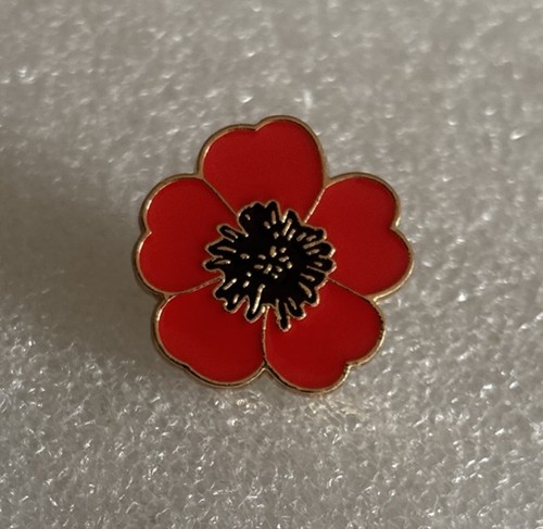 Plain poppy remembrance - plain, poppy¹