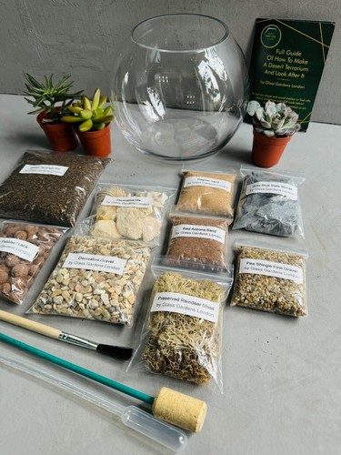 Desert terrarium kit best - terrarium,