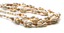 Natural Conch Shell Bead