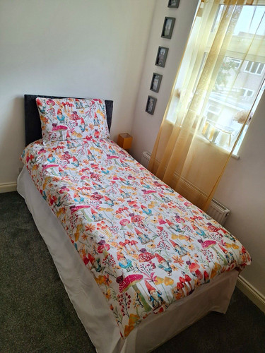 Single trundle guest - single, bed