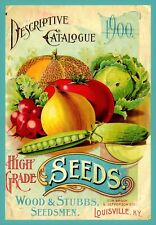 Vintage Seed Catalog 1900 old antique art poster