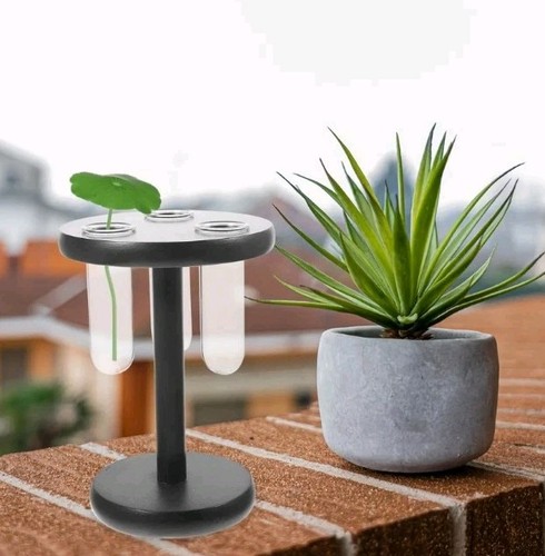 Hydroponic bulbs glass vase - hydroponic,