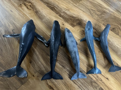 Schleich whale bundle - 5x,