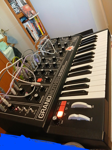 Moog grandmother analogue - moog,