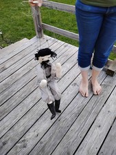 VIDEO HUGE VINTAGE CIVIL WAR