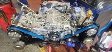 Cosworth 20004953 cambelt - 20004953,