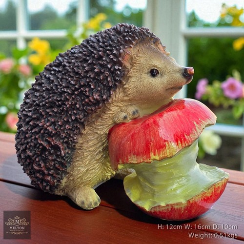 Hedgehog with apple cute - hedgehog,