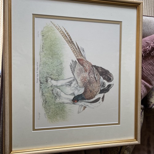 Helen bocking ltd - ltd, edition