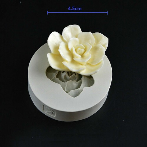 Mold succulent plant - mold,