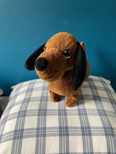 Dachshund puppy sausage dog - dachshund,
