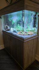 Large Rectangular Glass