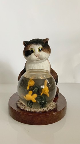 Comic and curious cats - and,