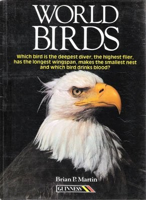 World birds martin - world, birds,