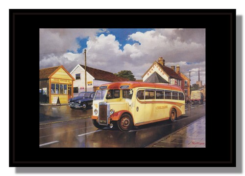Leyland tiger and standard - tiger,