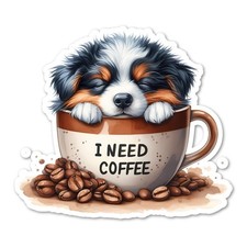 Funny Border Collie Puppy