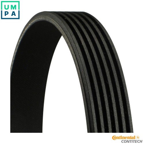 Vribbed belt 6pk1230 for - vribbed,