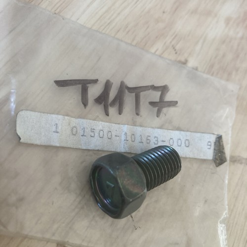 Suzuki 01500 10163 screw dr250 - screw,