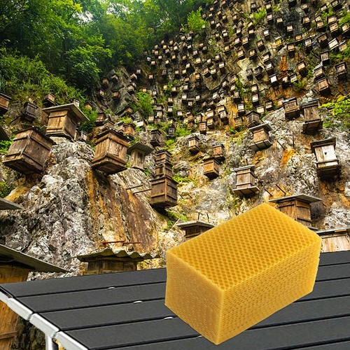 Beeswax foundation - pc,