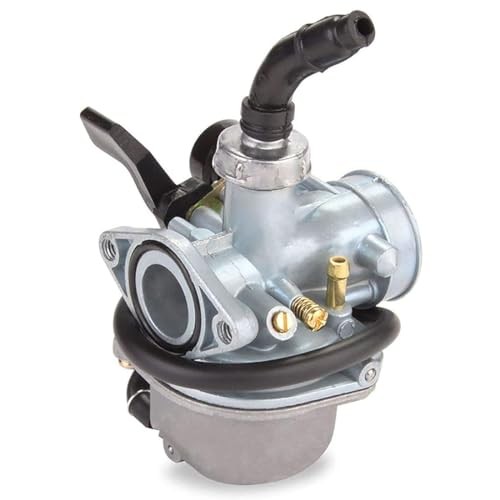 Pz19 carburetor for - carburetor, taotao