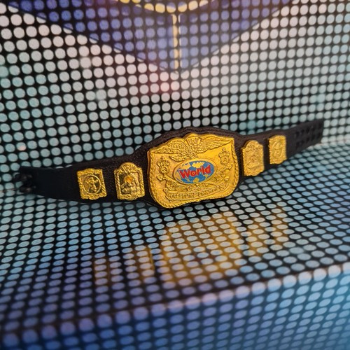 Classic tag team championship - tag,