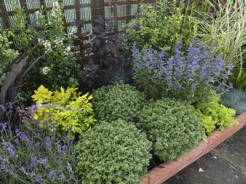 Mixed established - ,