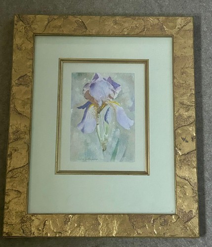 Iris original signed - -,