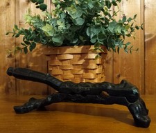 Antique 19th C Apothecary