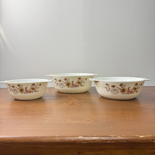 Pyrex vintage country autumn - country,