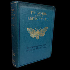 The Moths of the British Isles