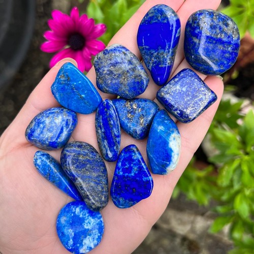 Lapis lazuli tumblestones - lazuli,