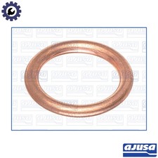 SEAL RING OIL DRAIN PLUG